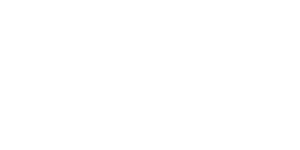 HillsdaleLogoHorz295White